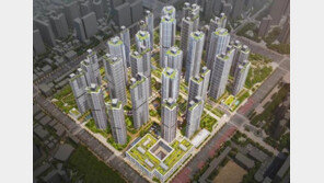 47년 된 ‘은마’ 재건축 최종 인가… 2028년 착공