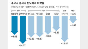 메타發 ‘AI 인프라 공급 과잉’ 공포에 삼전닉스 주가 급락