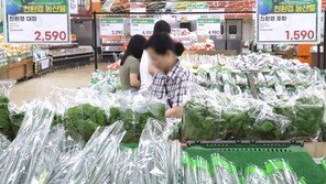 25%뛴 기름값, 밥상물가도 껑충… 1500원대 환율 하반기 변수로