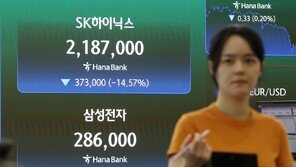 “그래도 삼전·닉스 2배로 간다”…‘야수의 심장’ 개미, 미친 변동성에도 레버리지 베팅