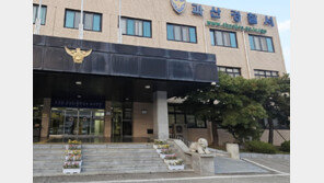 동거 남성 흉기로 찌른 50대 女 체포…순찰차서 난동도