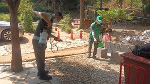 바퀴벌레 창궐 ‘3요소’ 갖춘 서울…살충제도 안 통한다