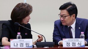 나경원 “與 추진 보완수사권 폐지, ‘선량한 국민 지옥’ 가는 직행열차”