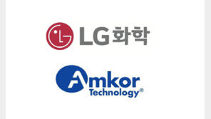 LG화학, 반도체 스트리퍼 시장 진출… 美 앰코에 공급