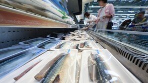 “고등어 2000t 확보하라”… 정부, 노르웨이에 특사단