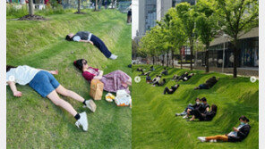 “점심 시간에 직행” 드러눕는 직장인들…빌딩 숲 ‘잔디 침대’ 화제