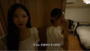 원이, ‘무섭노’ 일베 낙인…국립국어원 ‘질문’에도 등장