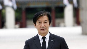 ‘일베 구별법’ 조국, 이번엔 ‘김부장’ 원작자 때려…“5.23 사용 의문”