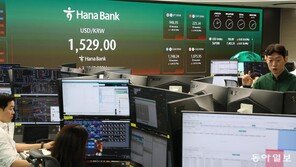 “24시간 환율 대응”… 원화 국제화에 기업들 환영