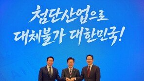 정부 3대 메가프로젝트 정리···주안점과 우려는?