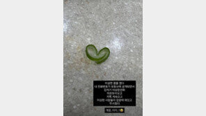 ‘1억 손실’ 미자 “이상한 꿈 꿨다”…누리꾼 “하이닉스 때문”