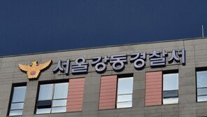 신호 위반한 60대 車에… 길 건너던 초등생 숨져