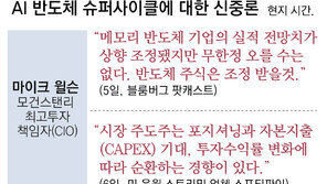 또 등장한 반도체 저승사자 “주가 조정 온다” 피크아웃 논란 재연