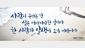 운전자가 한눈에 이해 못하면 탈락…서른다섯살 광화문글판의 비밀[손효림의 베스트셀러 레시피]