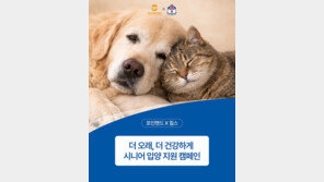 “노화는 걱정 아닌 관리의 대상”… 힐스코리아·포인핸드, 시니어 유기동물 입양 캠페인 성료 