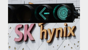 SK하닉에 ‘항의 주주서한’ 보낸 흥국자산운용, 하루만에 철회