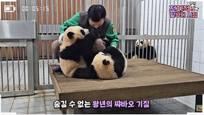 에버랜드 쌍둥이 루이·후이, ‘판다 할부지’와 지역 관광 홍보