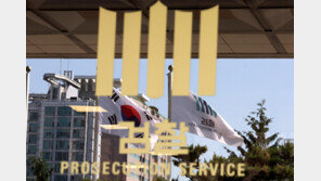 [단독]재판 진행중에…중앙지검, 대장동 자료 진상조사단 준다