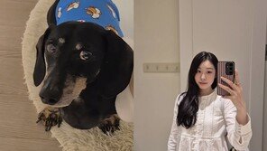 김연아, 발로 강아지 ‘쓰담쓰담’…“발 씻었어” 폭소