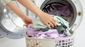“겉보기엔 깨끗한데…” 곰팡이·진드기 득실, 세탁 자주 놓치는 생활용품은