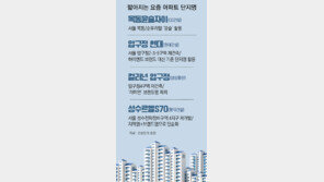 성수르엘-압구정 현대, 지명 담고 짧은 아파트 이름 인기