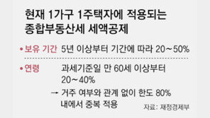 초고가-비거주 주택 보유세 올린다… 장특공제, 거주 중심으로