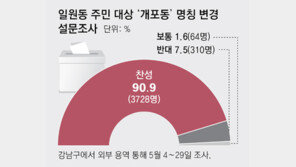 ‘일원동 일부→개포동’ 명칭 변경 검토