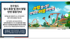 이틀 만에 또 놀이기구 사고 경주월드 16일까지 임시 휴장