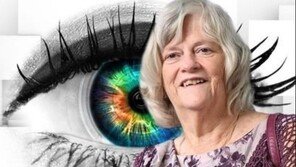 英 전 의원 살해 용의자 20대 남성 체포…“정치적 동기 정황은 아직 안나와”