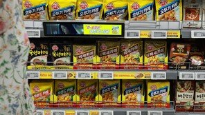 오뚜기, 카레·케찹 등 29개 제품 가격 최대 17% 인상