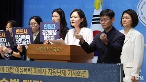 “아동-성폭력 사건 등 보완수사권 허용”…與 법사위원 일부, 예외 적용 법안 채비