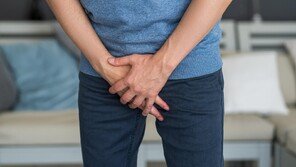 남성 배뇨불편엔 ‘참당귀황기추출물’… 농진청 공동 개발-세브란스 검증 완료