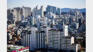 15억이하 서울 아파트, 1년새 19만채 줄어