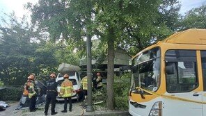 50대女 몰던 벤츠, 버스 들이받고 인도 돌진…보행자 1명 사망