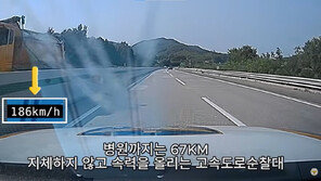 “나도 애 키우는 부모”…200㎞/h 질주한 순찰차, 위급한 산모 살렸다
