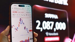 李 지시에 단일종목 레버리지 ETF 손본다…변동성 대책 마련