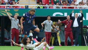 ‘월드컵 결승’ 스페인 감독 연봉 34억…“홍명보 추정연봉이 더 높다”