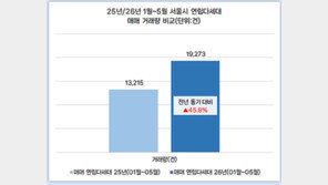 비싼 아파트 대신 빌라로…서울 연립·다세대 거래 46% 급증