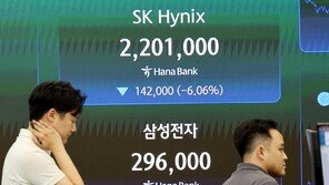 긴급 F4 회의 개최…삼전닉스 레버리지 ETF 보완책 발표