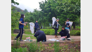 DGIST, 지역 AI/SW 영재교육 거점으로… 초중고에 대학 연구역량 개방