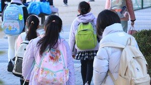 초등학교 학급당 학생수 올해 18.6명, 26년만에 반토막… 학교는 되레 늘어