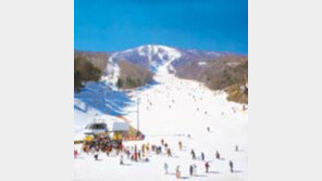 ［여행］휘닉스파크「스키월드」…급경사  １２개  쾌감『만끽』