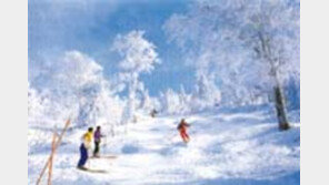 ［여행／일본  스키리조트］이와태현  아피  스키장