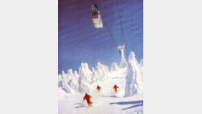 ［여행／일본  스키리조트］야마가타자오스키장