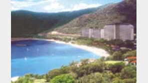 ［여행／호주  해밀턴섬  리조트］요트－윈드서핑  등  만끽