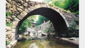 ［여행／승주  선암사］겹벚  꽃타래『꽃비  후두둑』