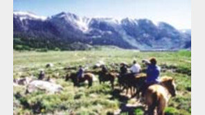 ［여행／美이스턴시에라  매머드레이크］