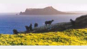 ［여행／우도］동굴절벽－산호초  백사장  『백미』