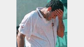 ［테니스／프랑스오픈］샘프라스－무스터등  탈락  『파란』