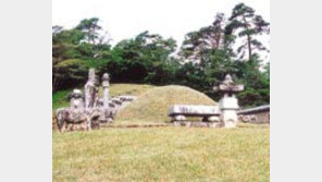 ［여행／영월］슬픈  왕조의  역사，단종의  「마지막  무대」